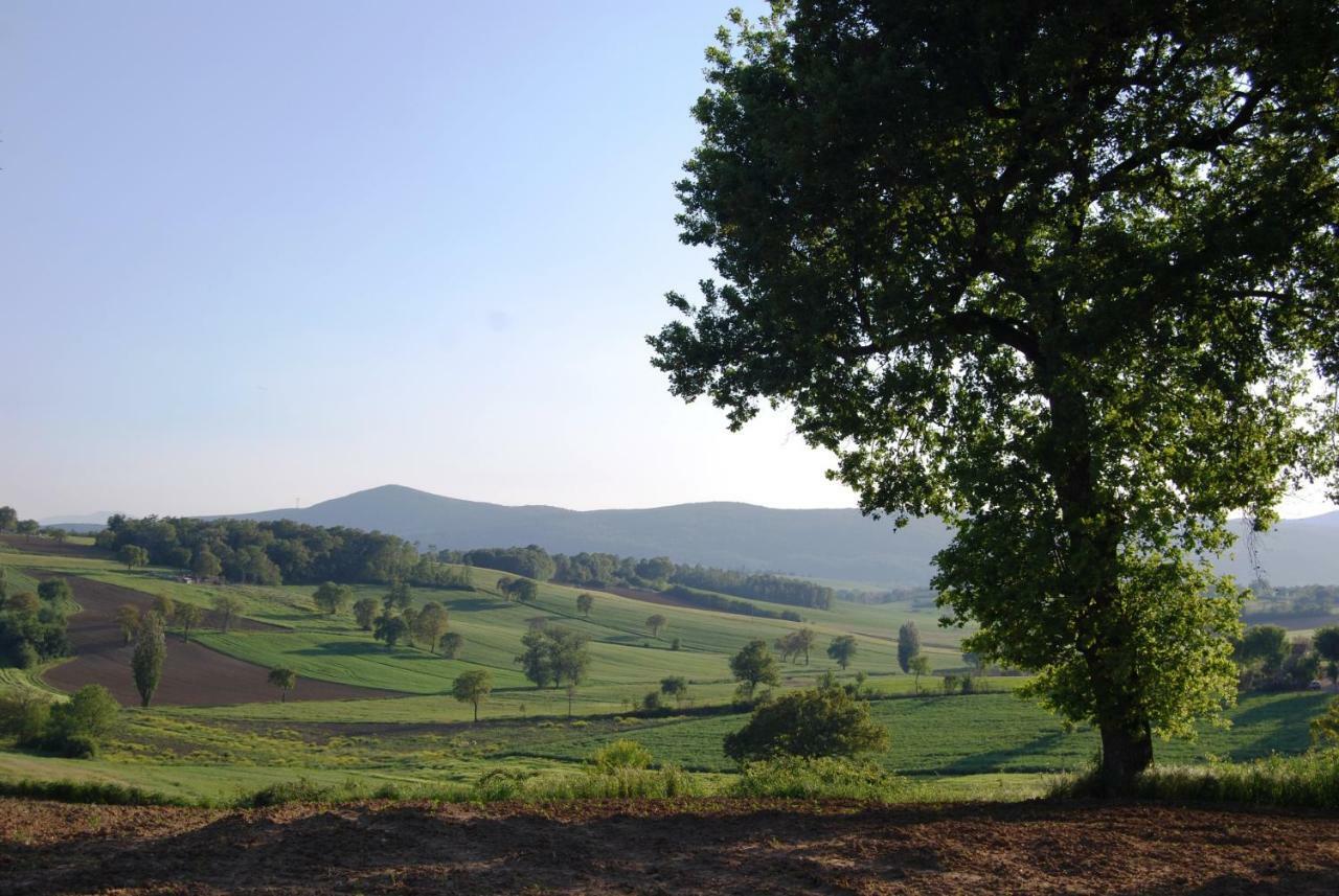 Bilocale Verde Umbria Montecastrilli ภายนอก รูปภาพ