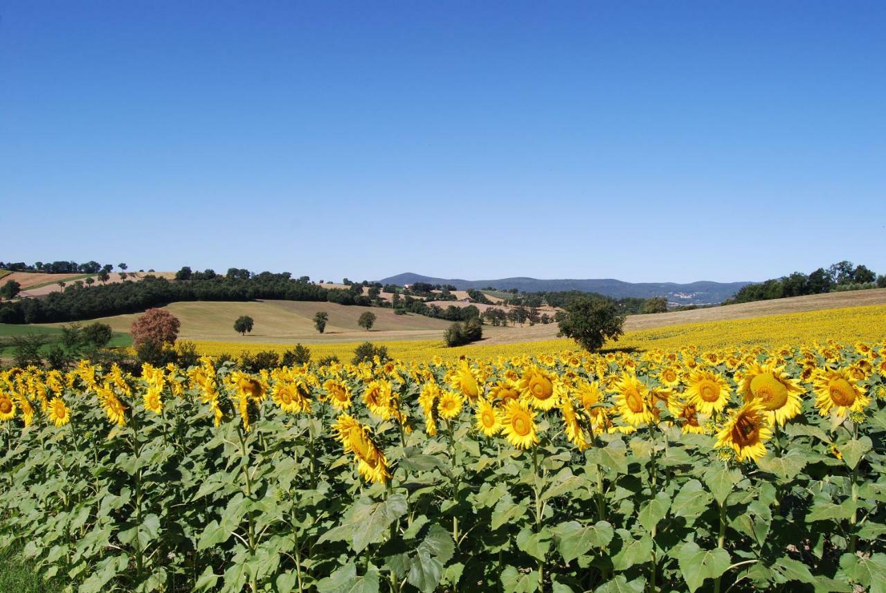 Bilocale Verde Umbria Montecastrilli ภายนอก รูปภาพ
